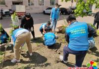 河南街道團(tuán)工委開展“祛疤栽花綠滿延吉”綠化活動