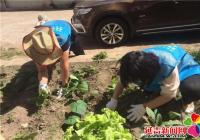 清除雜草 植綠護綠