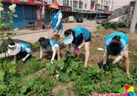 市公交集團(tuán)聯(lián)手春光社區(qū) 清理花壇雜草 助力創(chuàng)建文明城