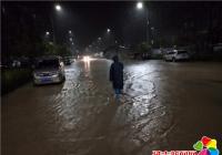 雨水淹沒馬路   社區(qū)“出手”挪車 