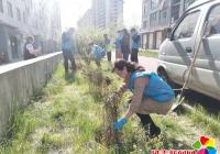 正陽社區(qū)開展春季植樹護綠  扮靚“美麗家園”主題黨日活動